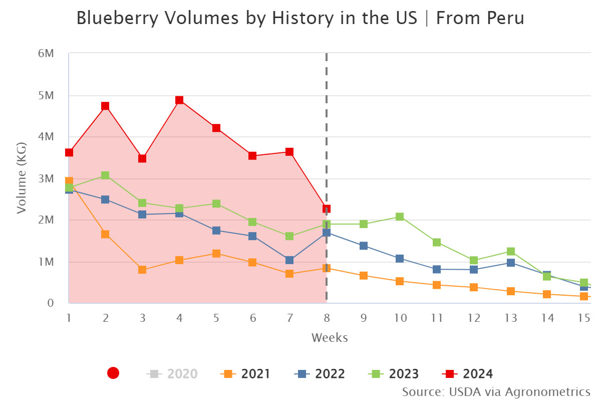 blueberry volumes by his